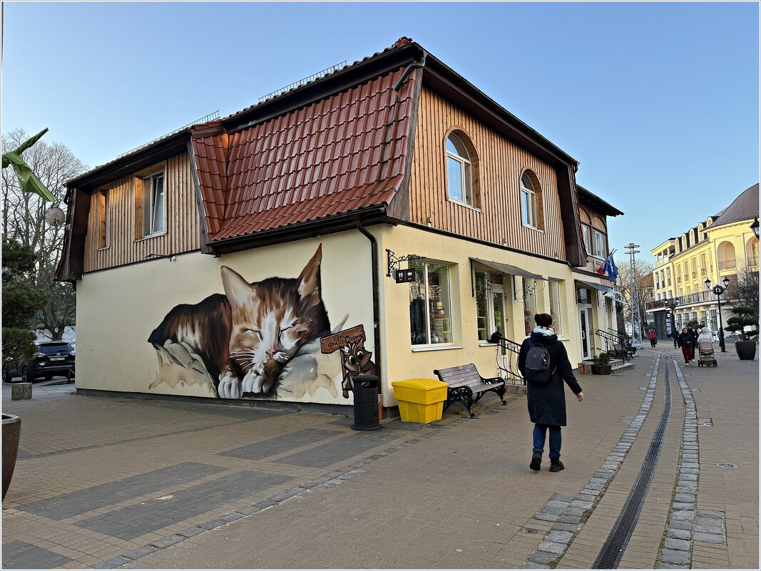 Утро в городе котов и кошек. - Валерия Комова
