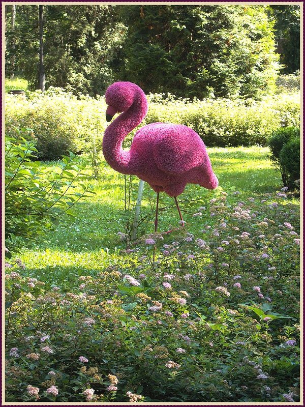 Розовый фламинго - Alisia La DEMA