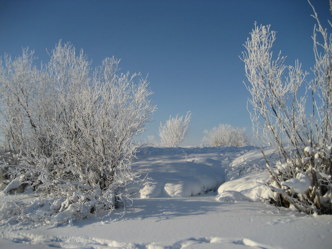 Зима - Anna Ivanova Зима - Anna Ivanova
