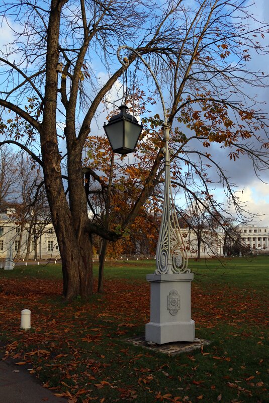 Осень на Елагином острове - Ольга 