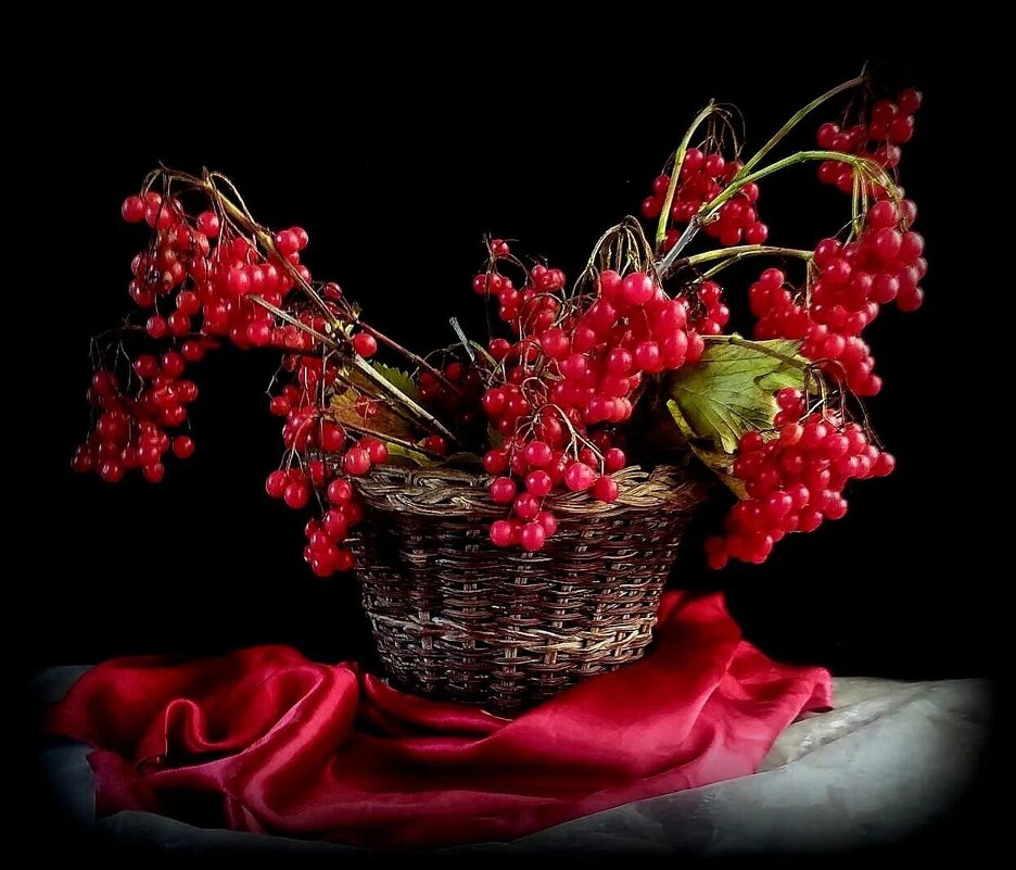 . - TAMARA КАДАНОВА