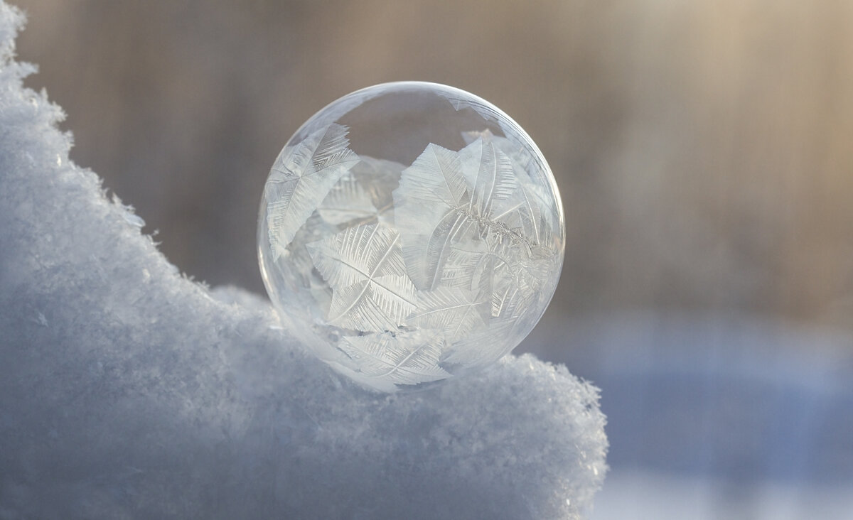 Пузырь - Андрей Пристяжнюк