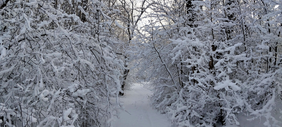 Снежный день!!! - Радмир Арсеньев