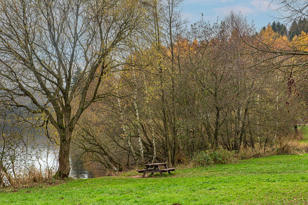 Последние осенние краски. - Lucy Schneider 