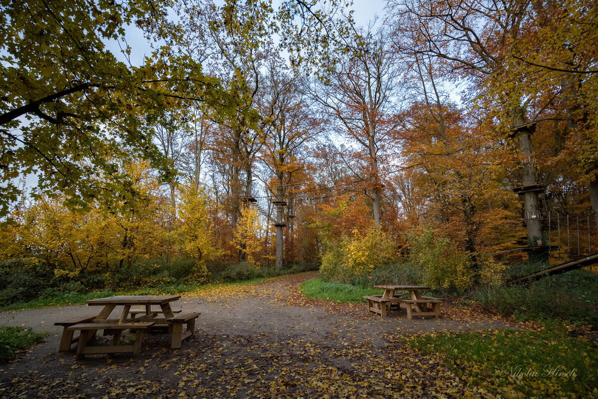 В осеннем лесопарке... - Николай Гирш