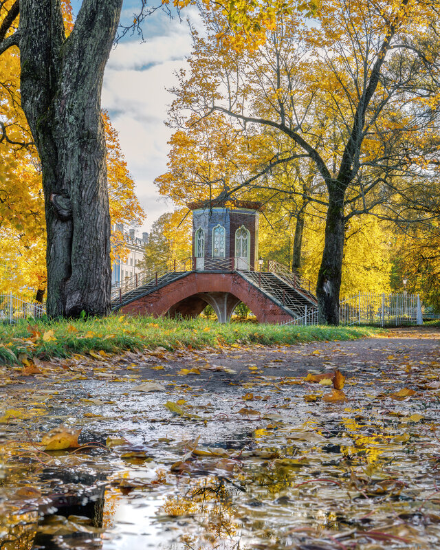Про Питер - Владимир Колесников