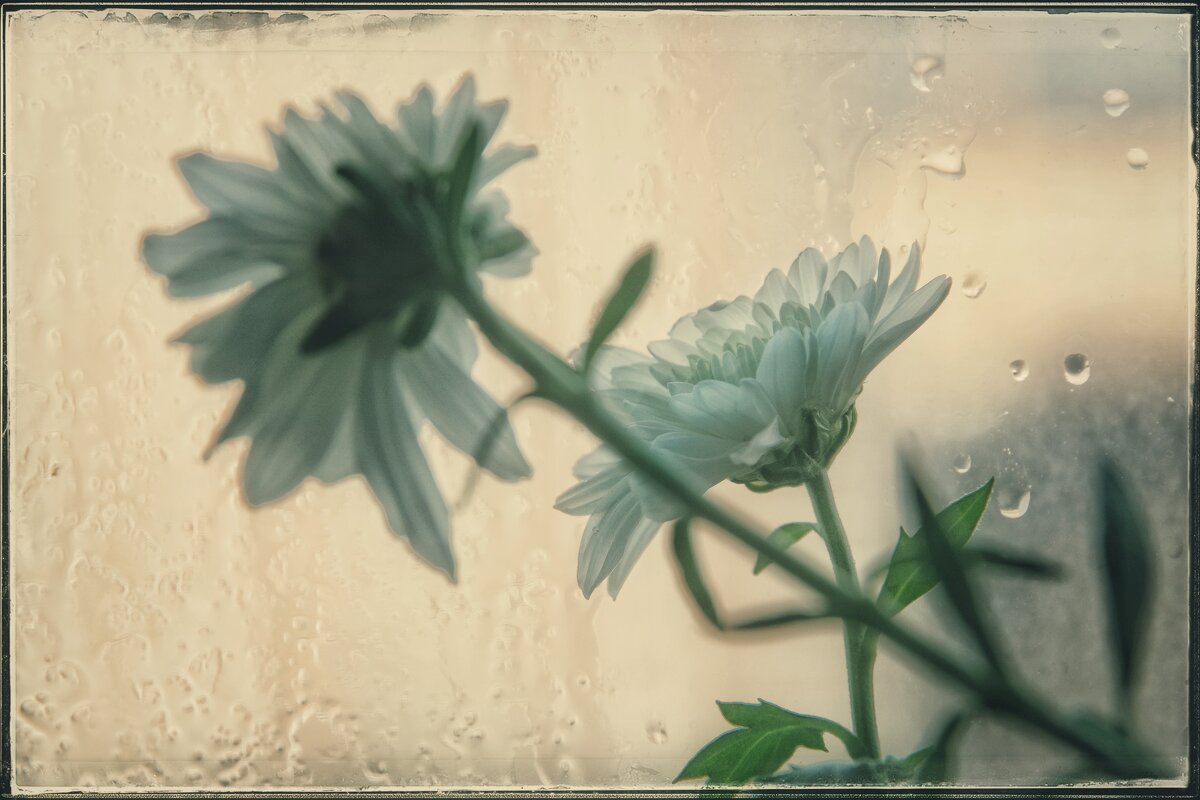 * * * - Руслан 