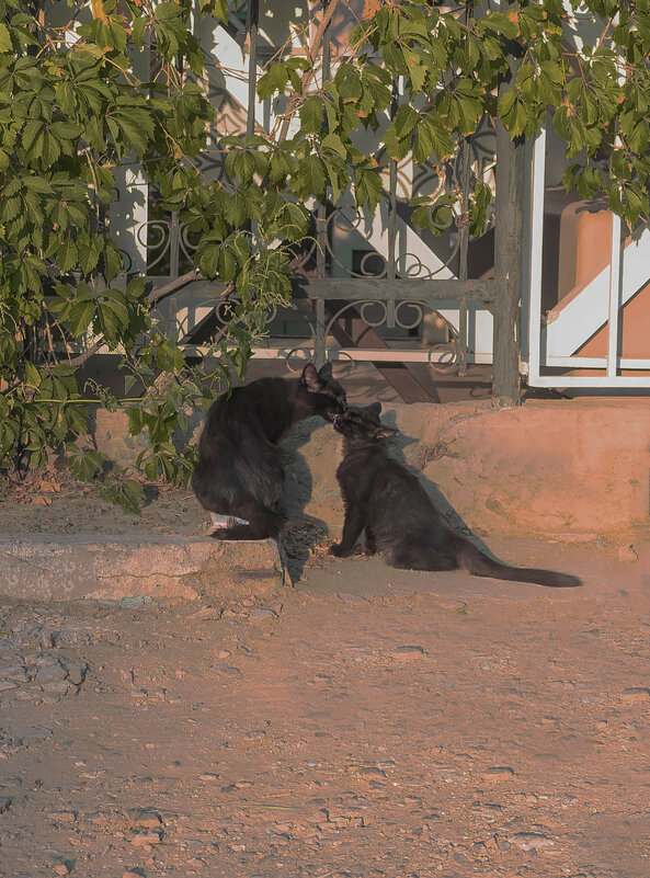 *** - Елена Алексеева