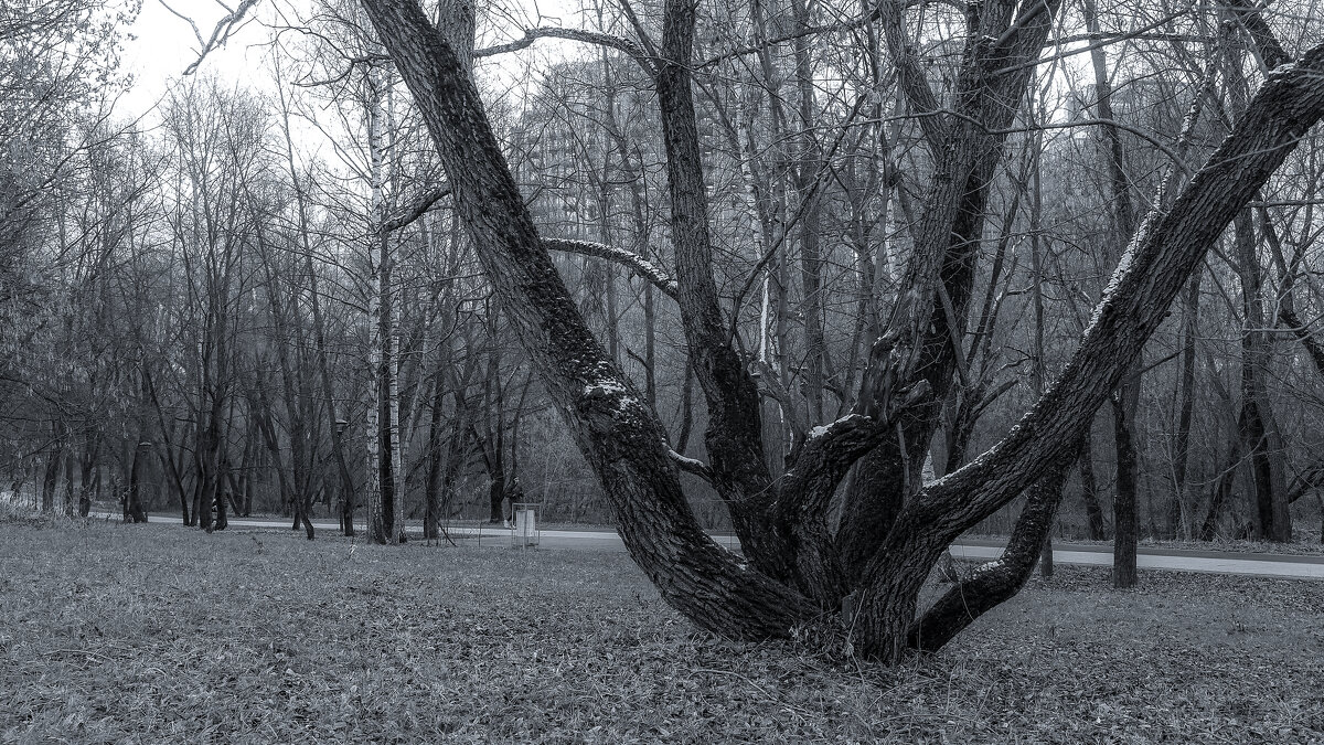 ***** - юрий поляков