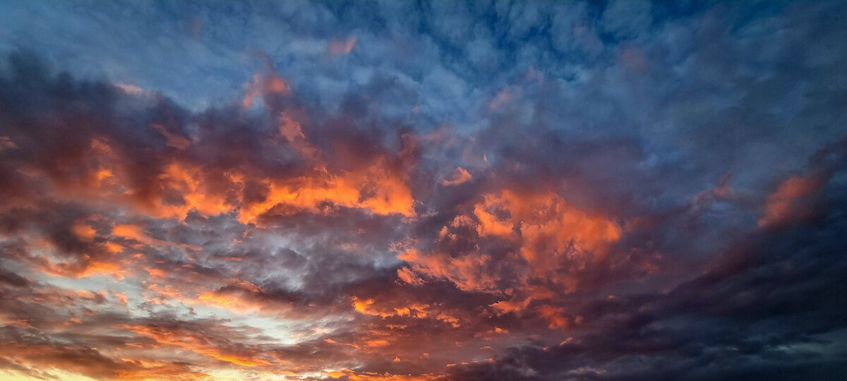 огненное небо - Ольга Косачова огненное небо - Ольга Косачова