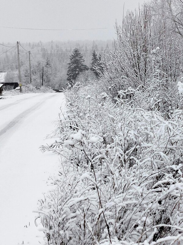 Предзимник - Ольга Конькова
