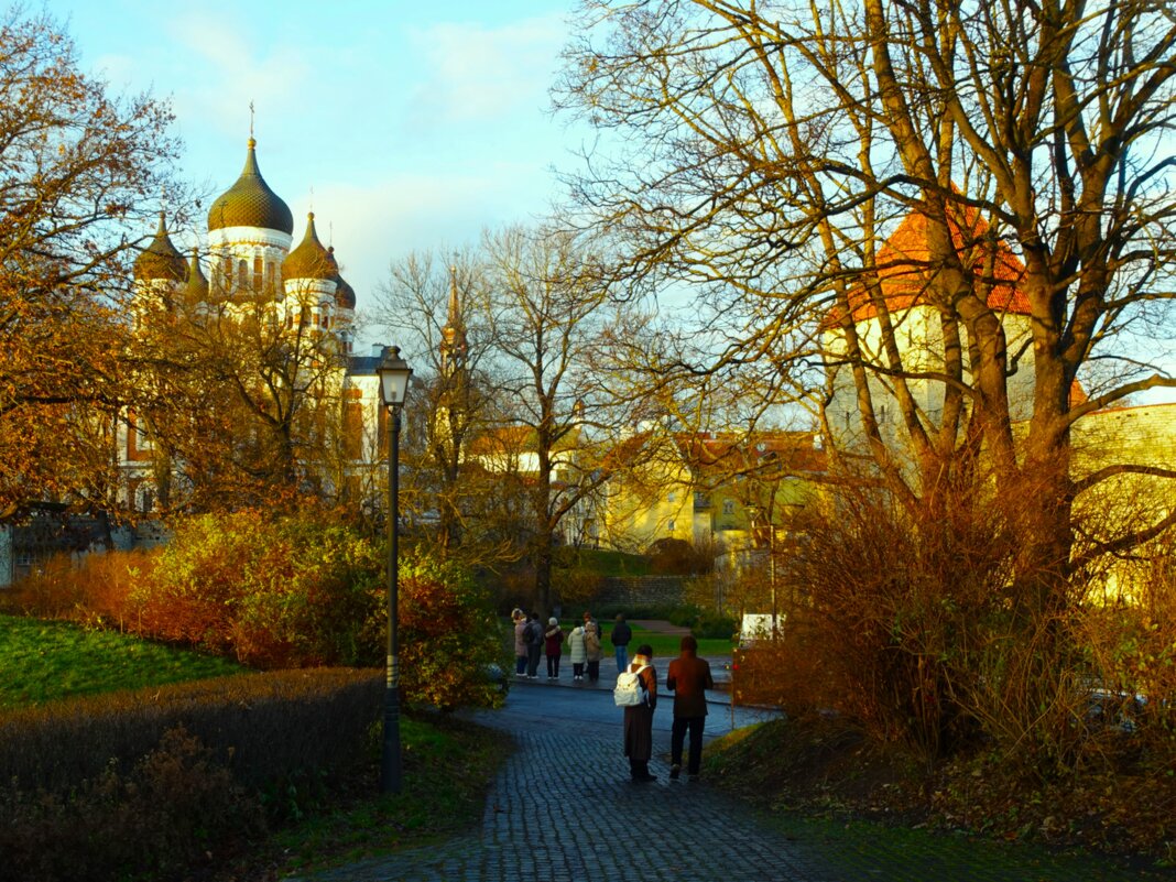 На Тоомпеа в солнечный день ноября - Aida10 На Тоомпеа в солнечный день ноября - Aida10