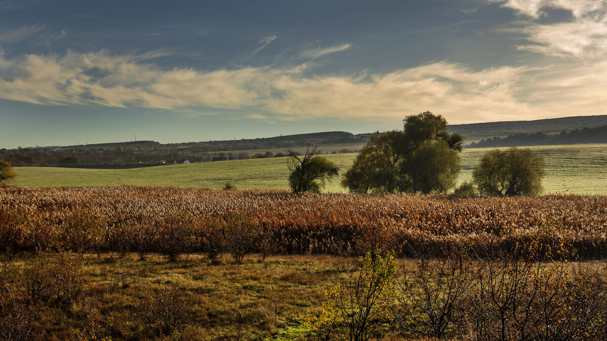 ***** - Сергей Воротников