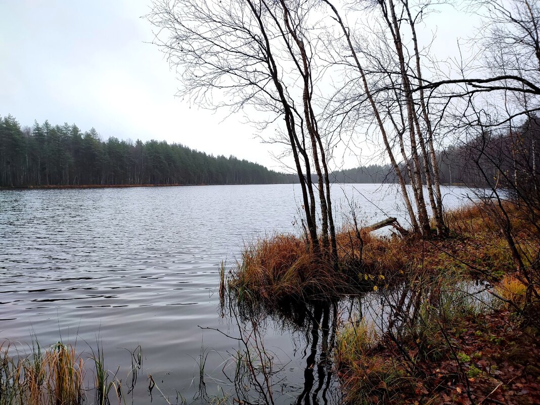 Унылая пора - Ирина 