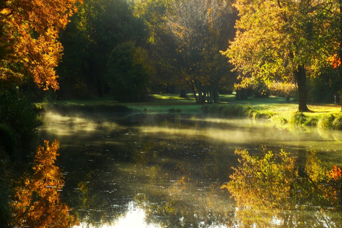 Осеннее утро - Юрий. Шмаков
