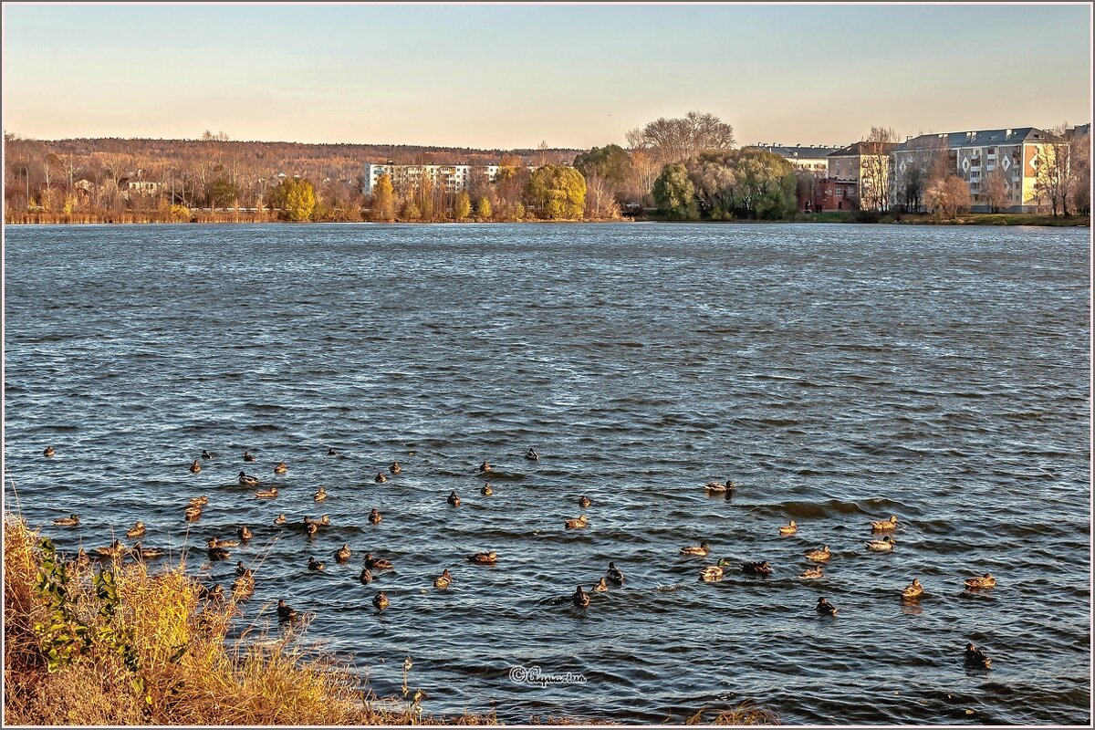 Ветреный вечер - Aquarius - Сергей