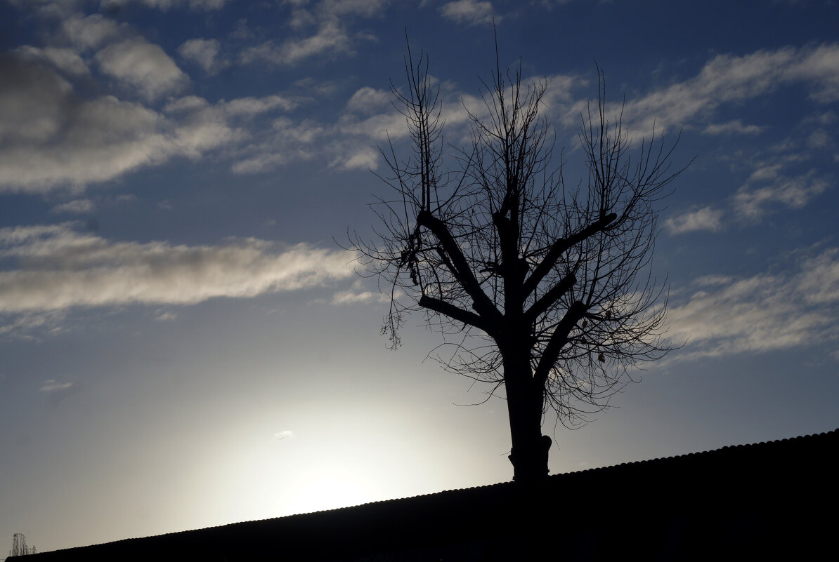 Рассветная графика... - Сергей Порфирьев