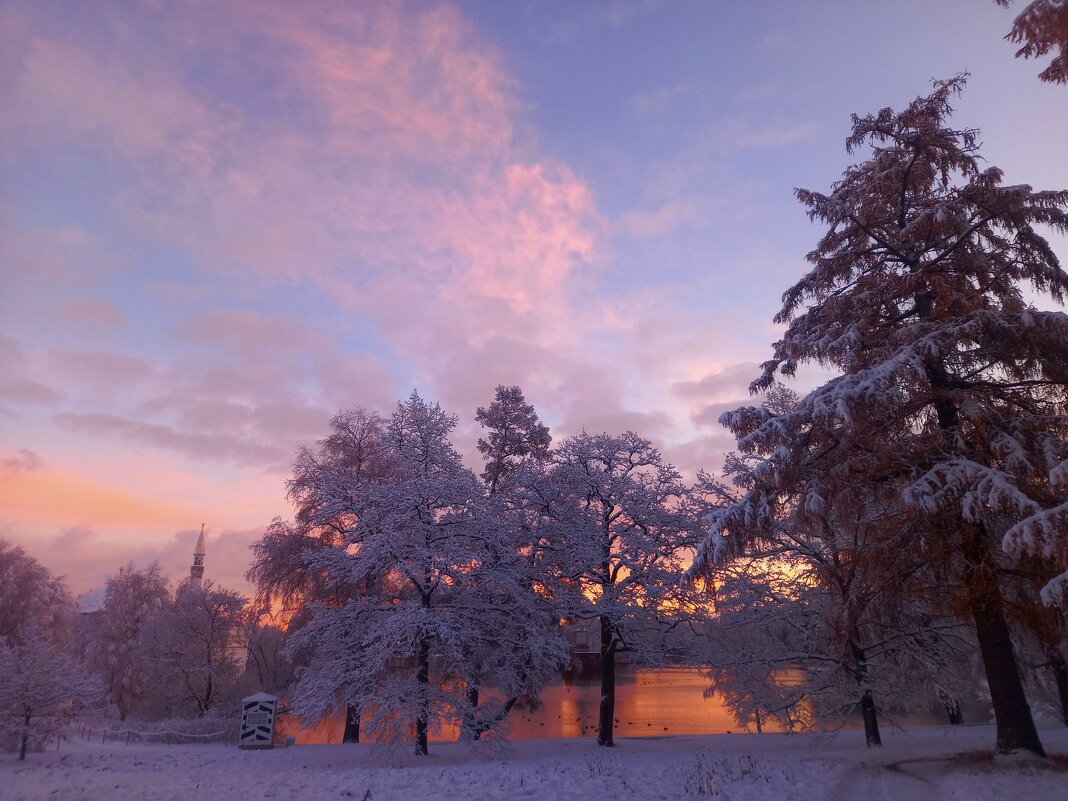 Рассвет - Сапсан 