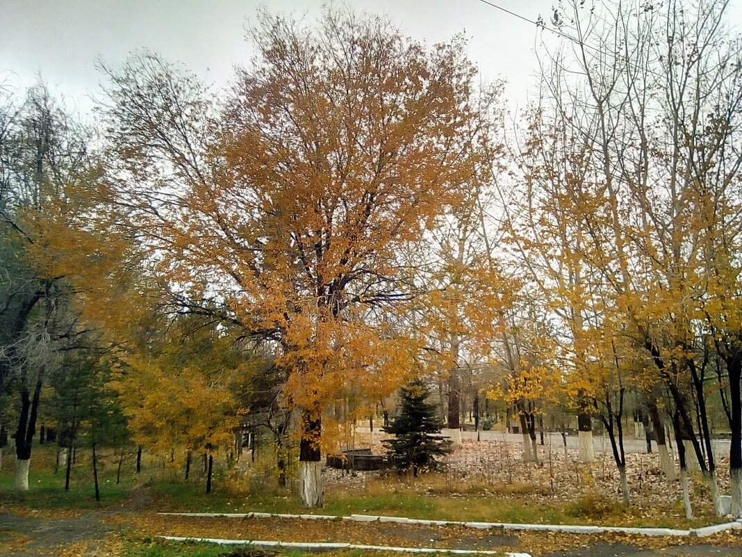 Осень - Георгиевич 