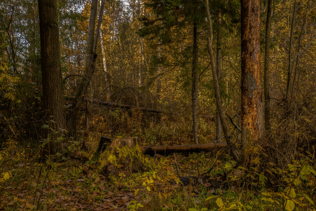 Чем дальше тем больше. - Николай 