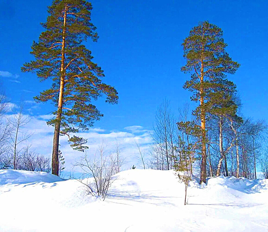 На Севере дальнем... - Владимир 
