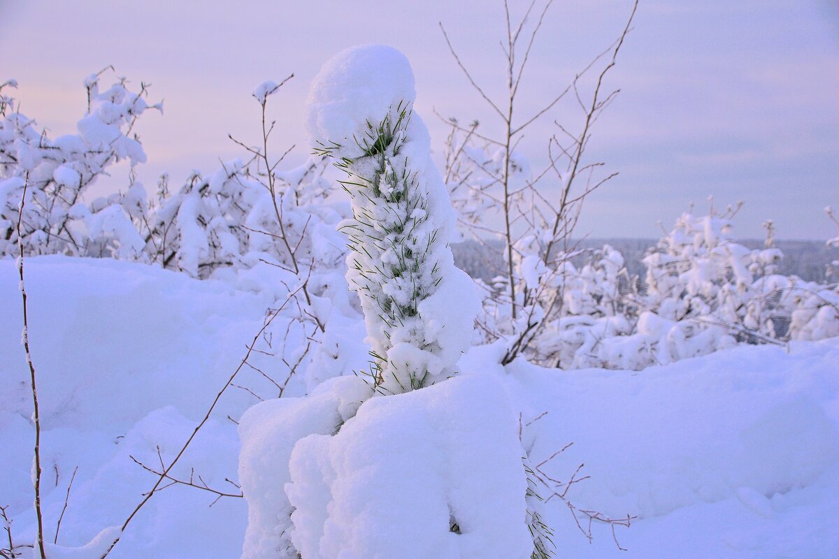 - - Владимир Мигонькин
