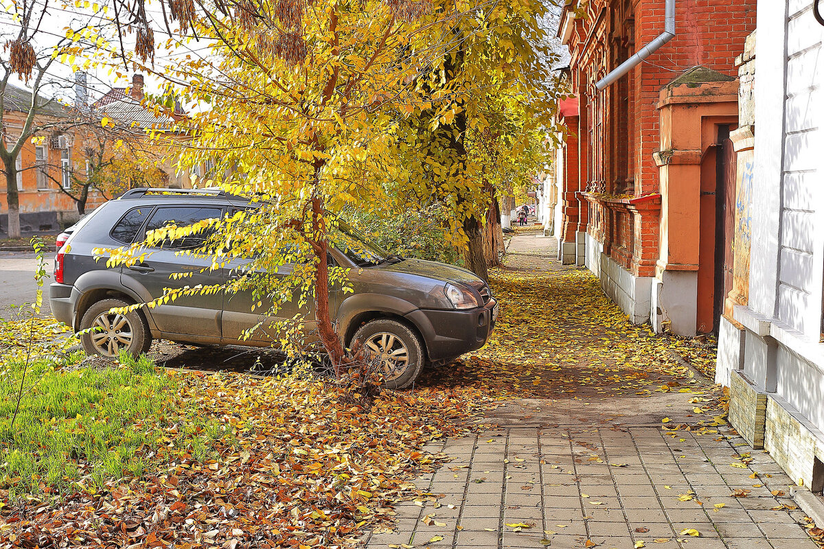 Осень - Юрий Гайворонскiий