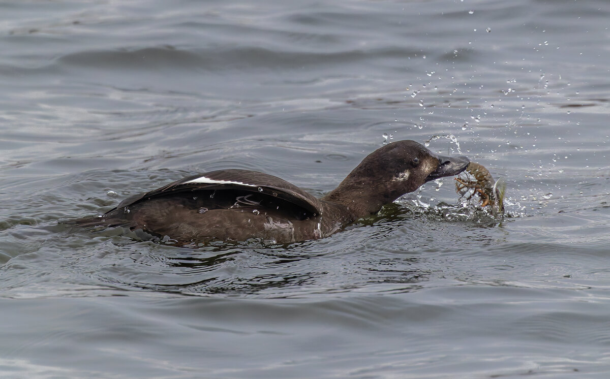 турпан. - юрий макаров турпан. - юрий макаров