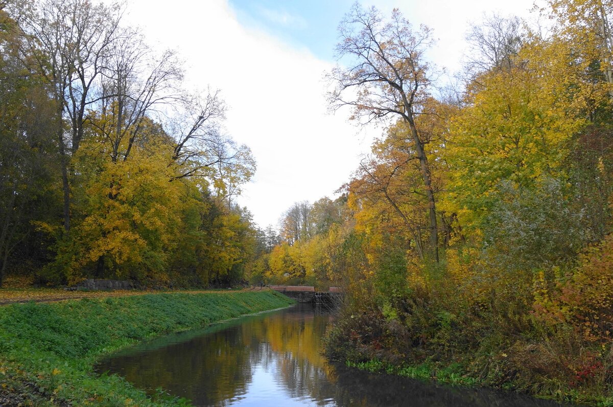 Ноябрь - Рита Симонова