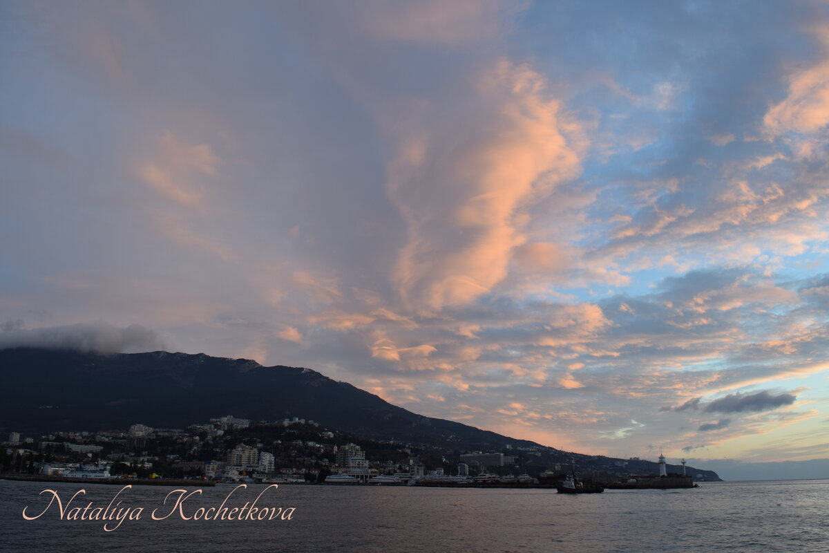 Природа Крыма - Amazing Cosmea