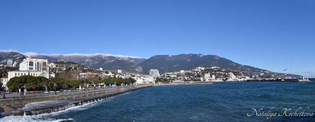 Природа Крыма - Amazing Cosmea