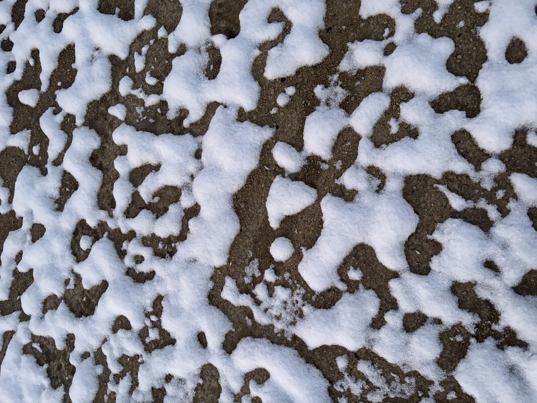 Лабиринт - Ольга Савельева 