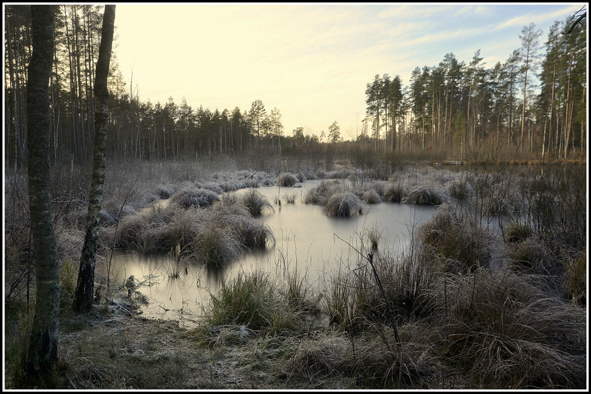 Зима пришла - Aleksandr Gal