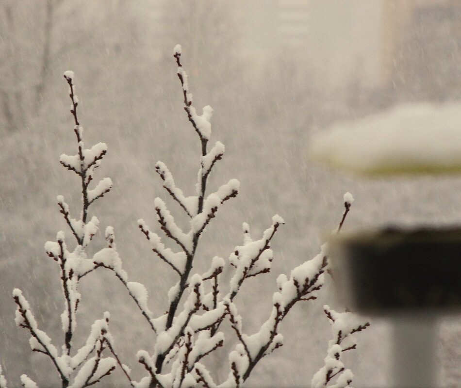 Крышку приспособил !.. - Юрий Куликов