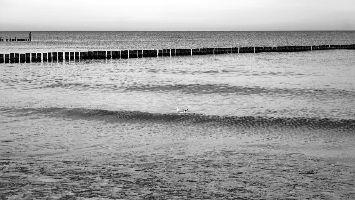 Побережье Балтийского моря - Jiří Valiska