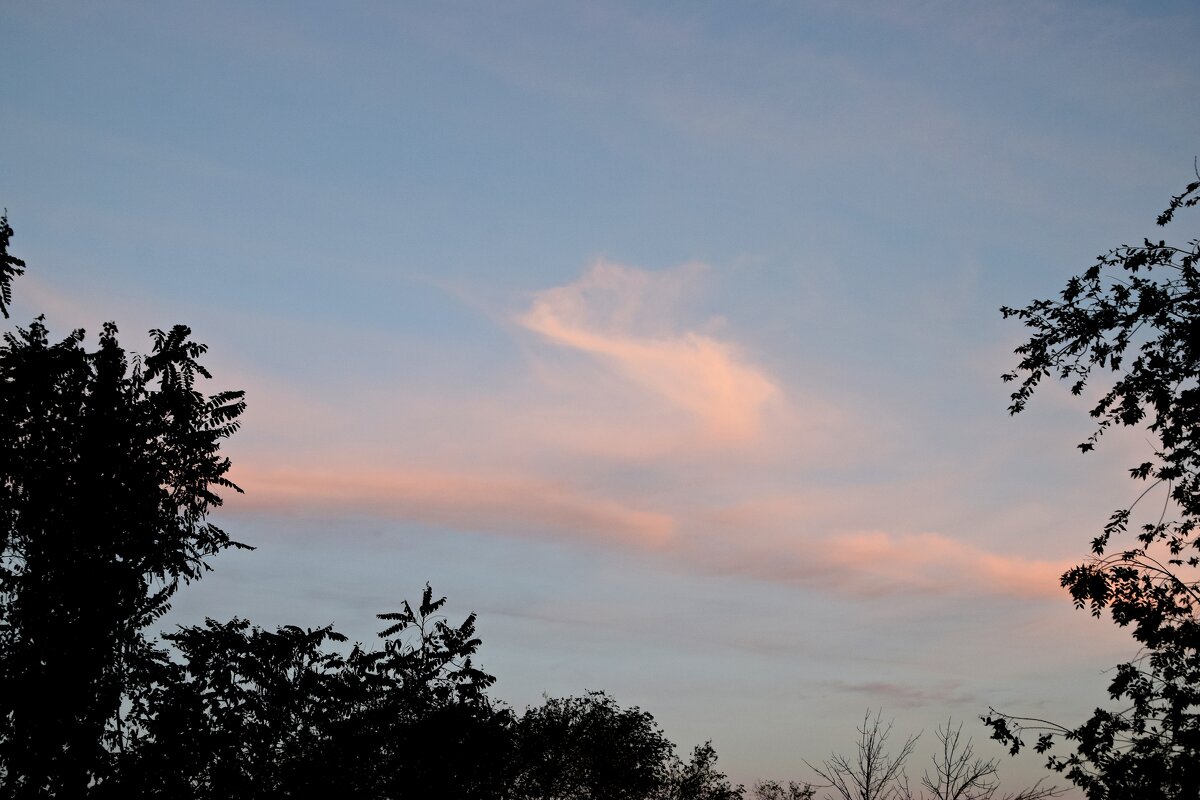 *** - Павленко Михаил 