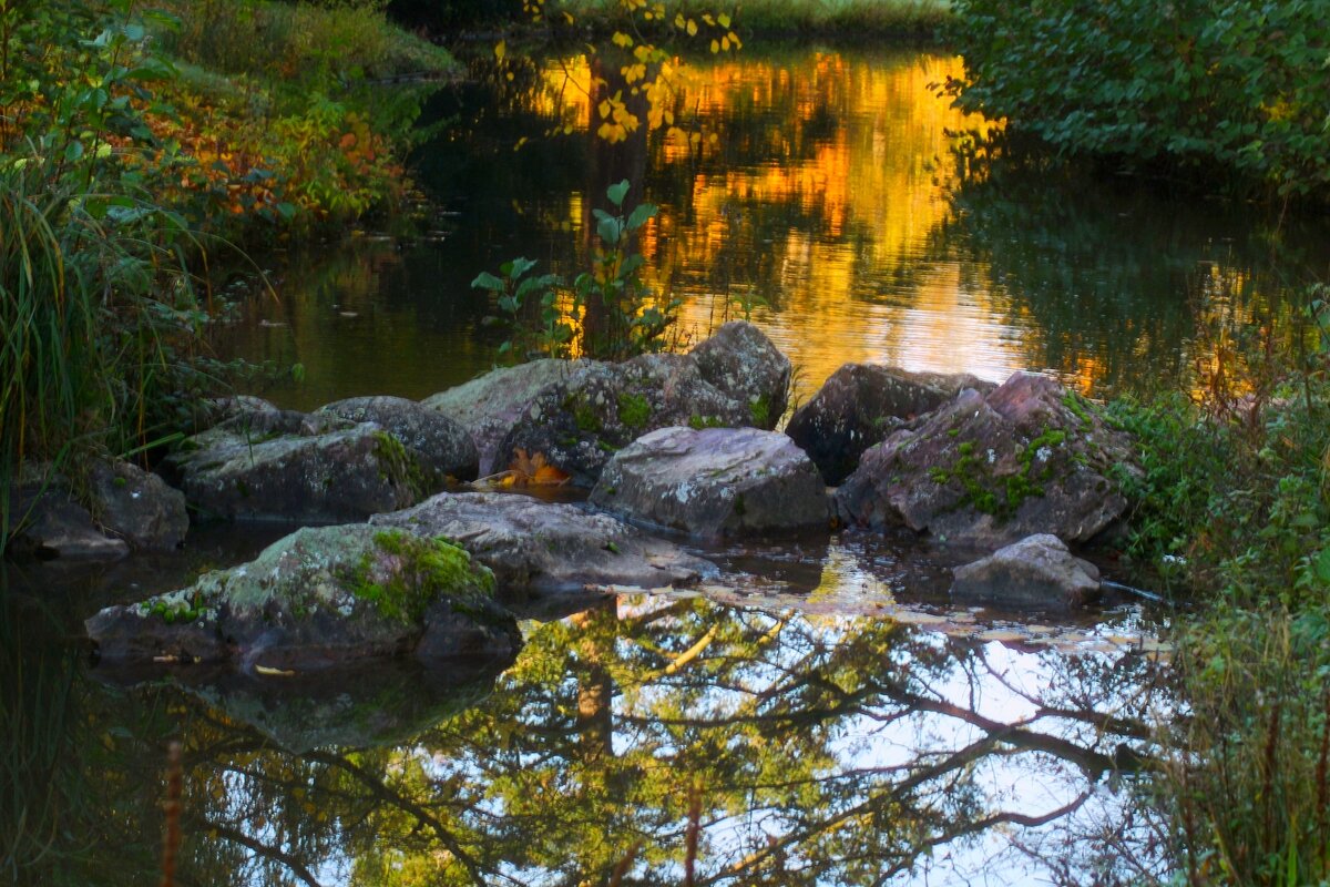 Запруда - Юрий. Шмаков