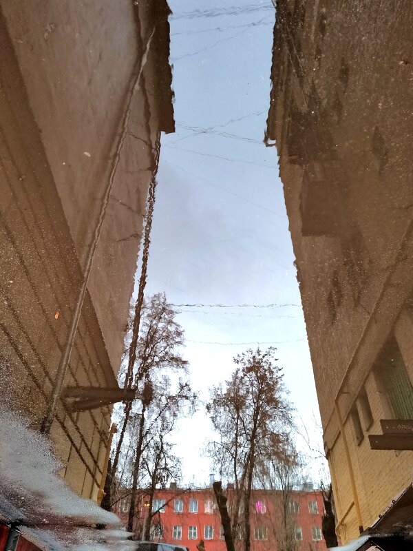 Отражение - Любимова Ольга 