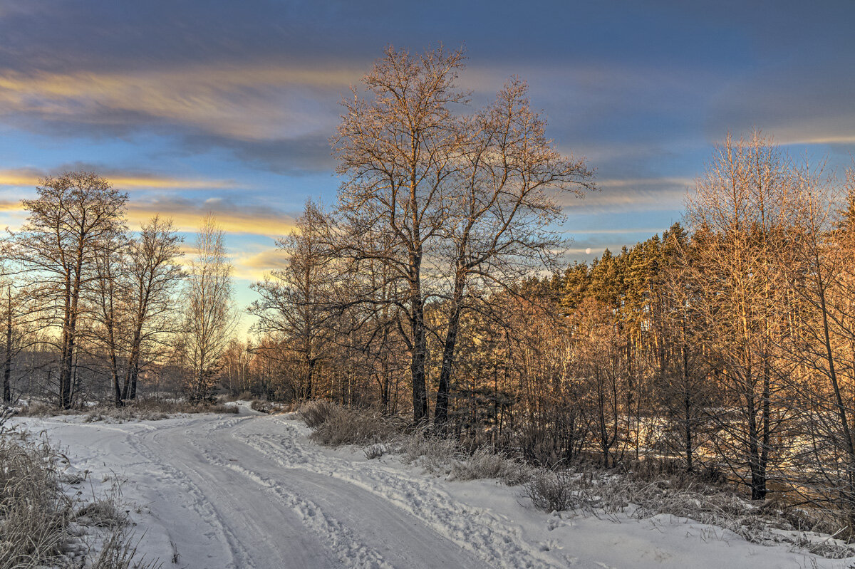 Зимний вечер. - Александр Иванович Шитов