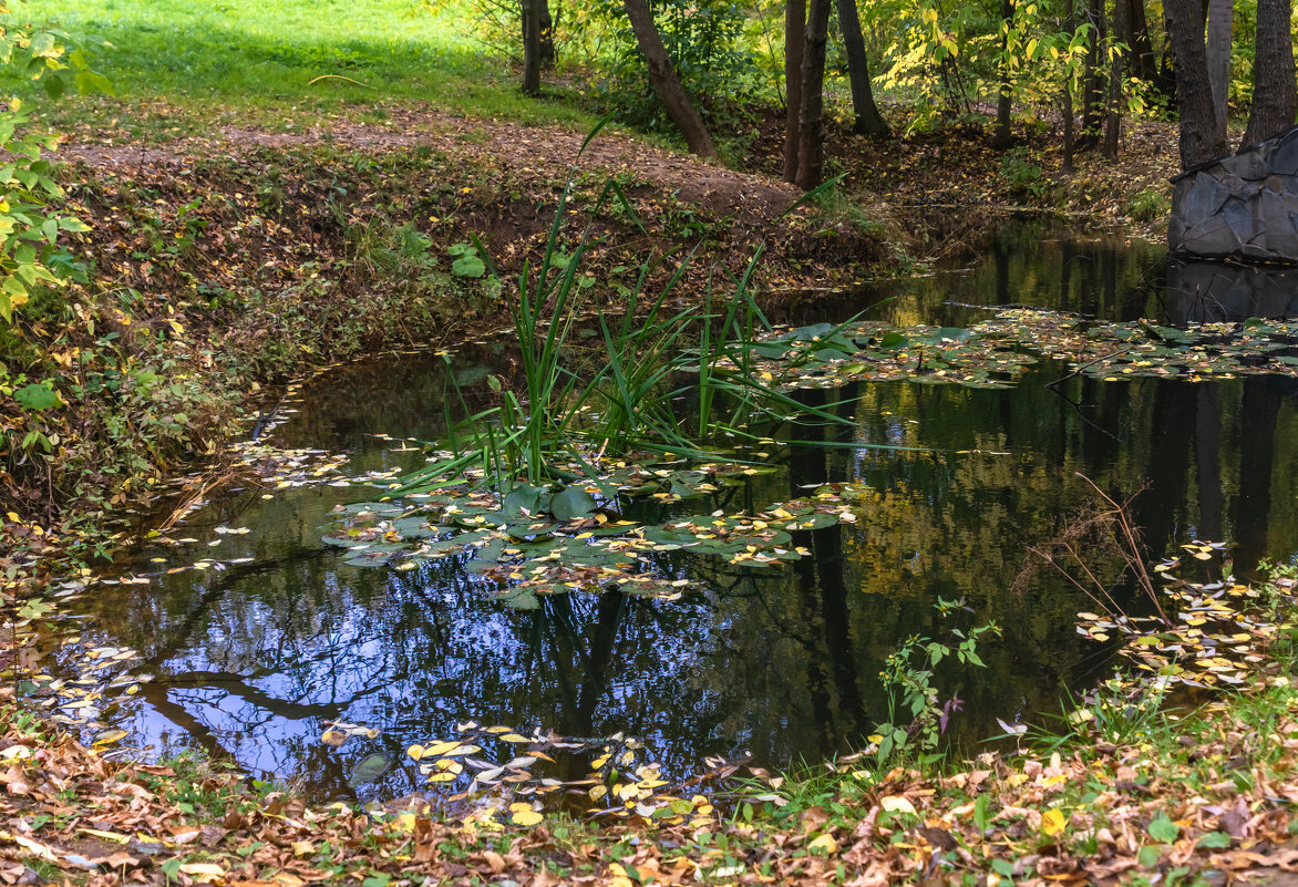 Алёнушкин пруд - Игорь Николаев