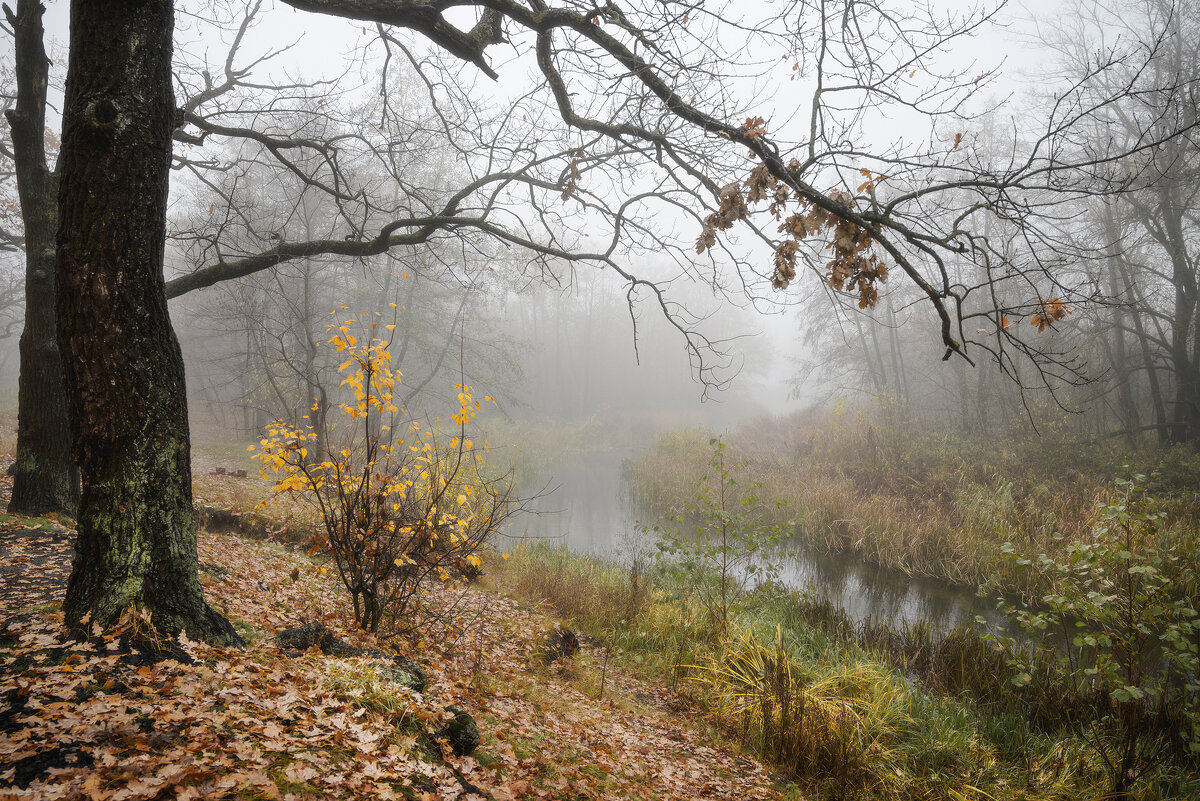 Туманное безмолвие - Валерий VRN
