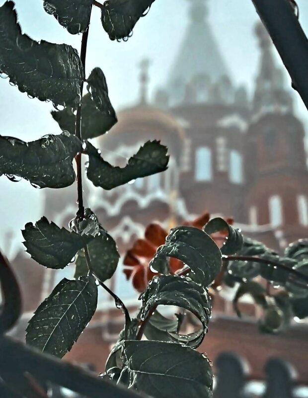 Ноябрь уж наступил... - Алекс /