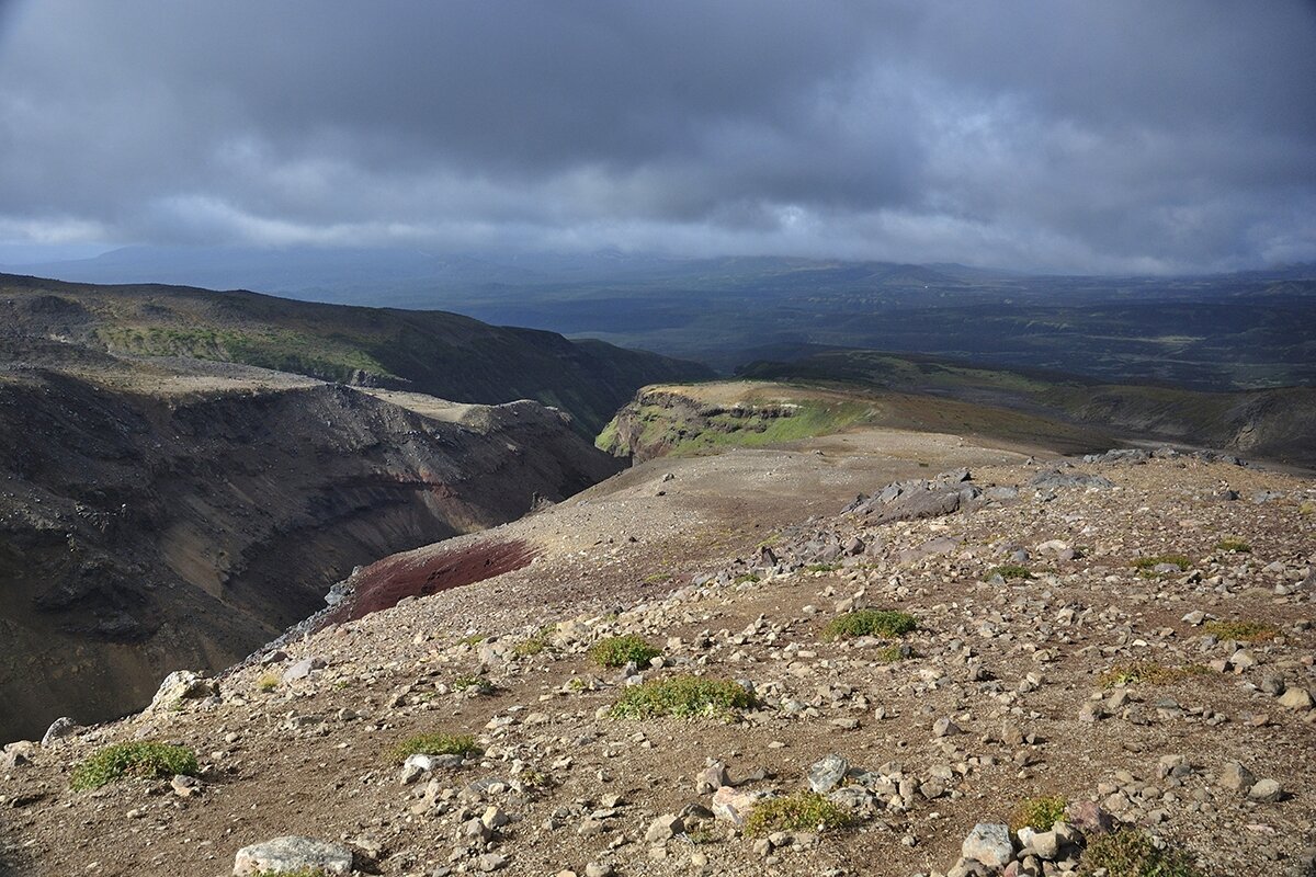 Кажется дождь собирается - Марина Виноградова