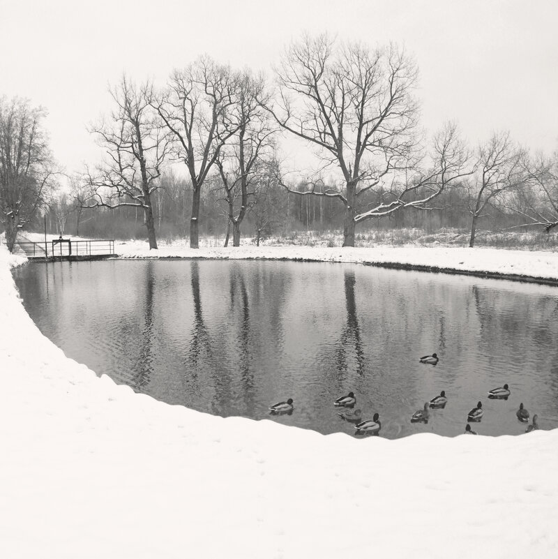 *** - Сергей Григорьев