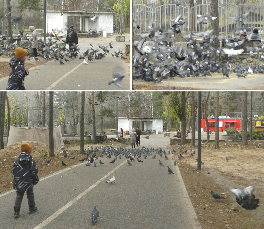 *** - Лера *** - Лера