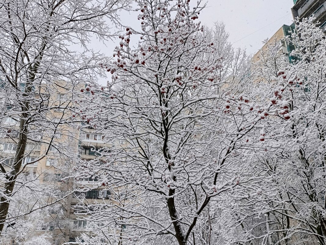 Дождались! - Ирина ***