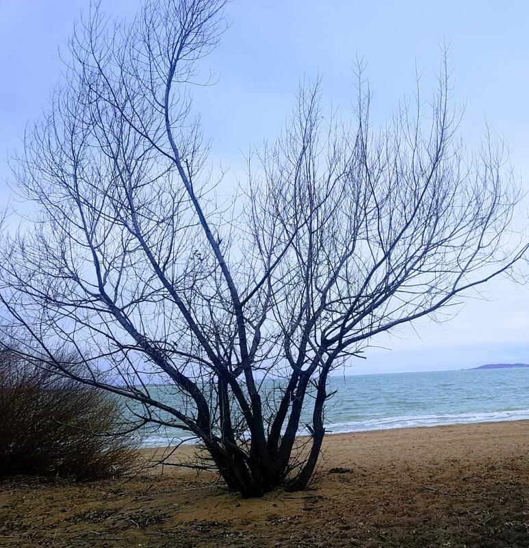 Утро,туманное,утро седое... - Георгиевич Утро,туманное,утро седое... - Георгиевич