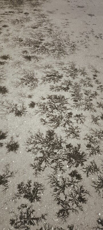 Зимушка- зима - Ната Платонова