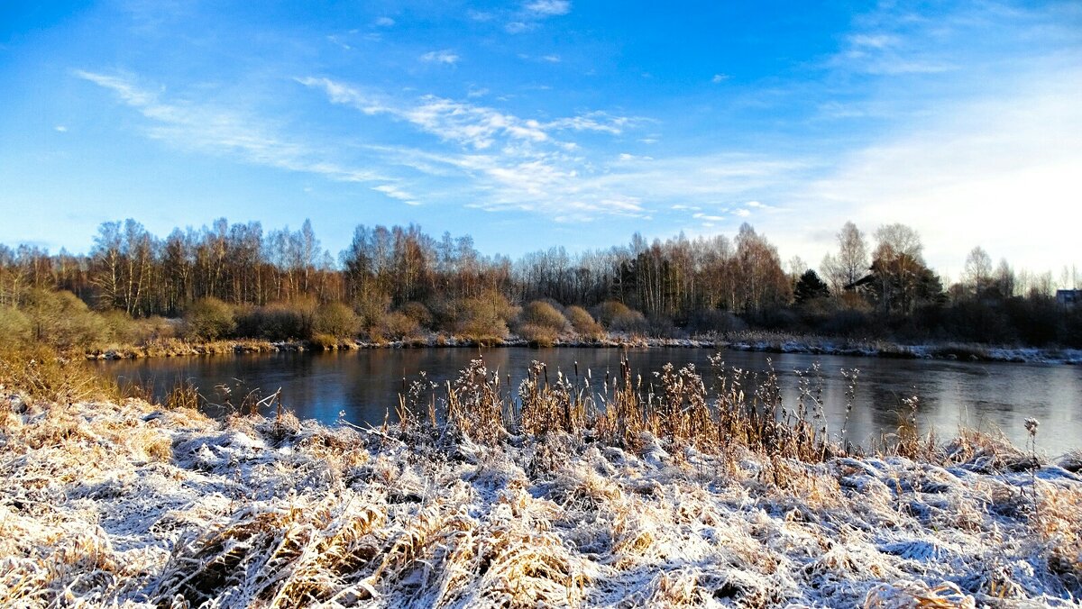 Солнечный день ноября. - Милешкин Владимир Алексеевич 