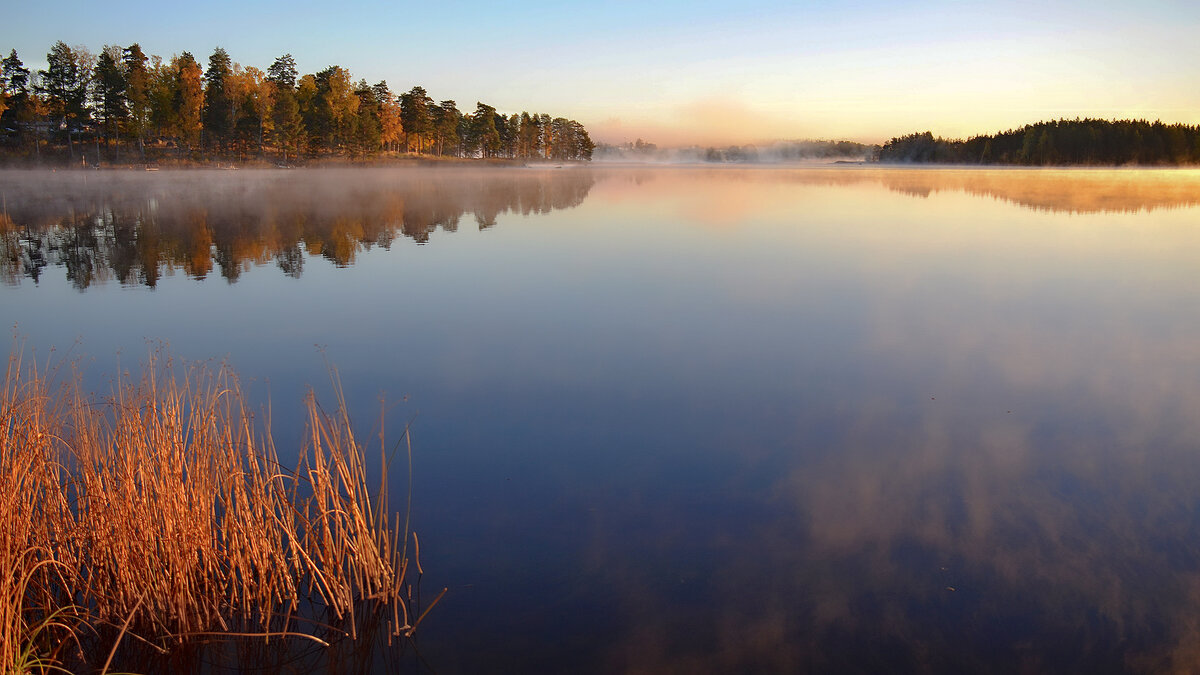 Как утро встретишь ... - Alexandеr P